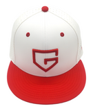 GAMER$ TEAM SERIES CAP