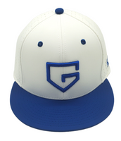 GAMER$ TEAM SERIES CAP